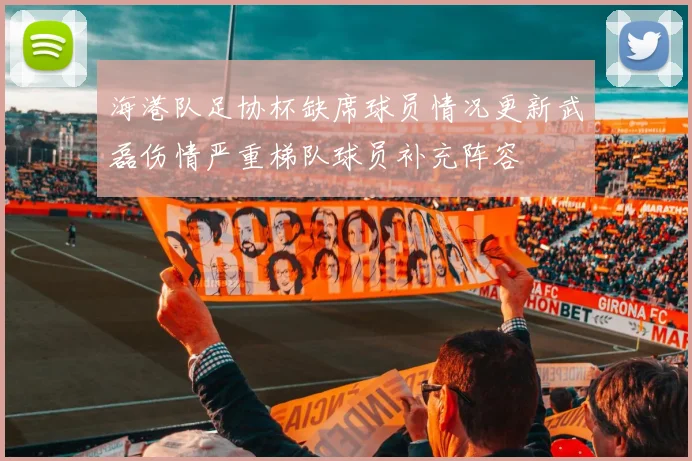 海港队足协杯缺席球员情况更新武磊伤情严重梯队球员补充阵容