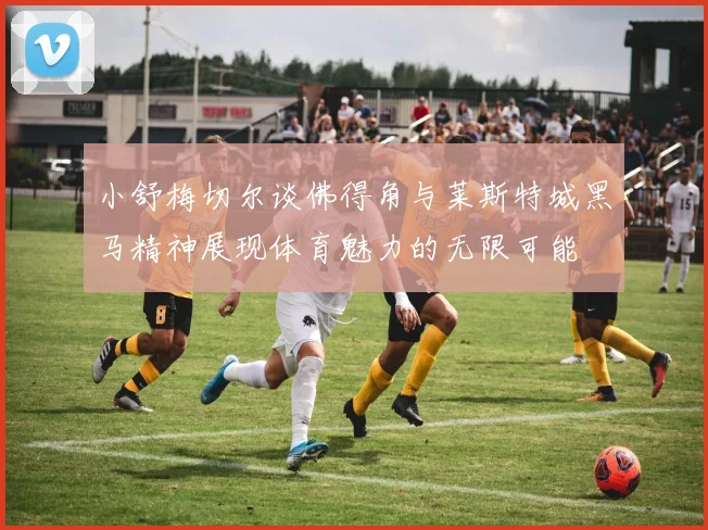 小舒梅切尔谈佛得角与莱斯特城黑马精神展现体育魅力的无限可能